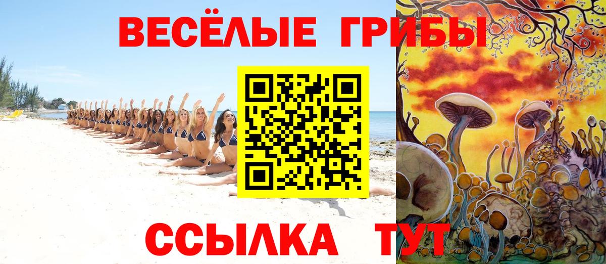 купить  сайты  Псилоцибиновые грибы прущие грибы  Вход с VPN  Псилоцибиновые грибы Magic Shrooms  Кимовск 