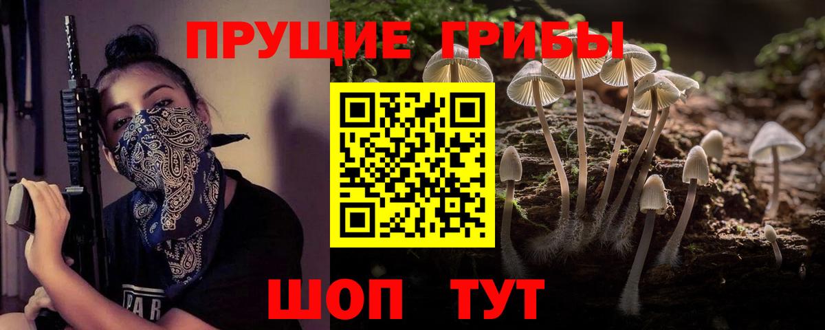 Псилоцибиновые грибы ЛСД Кимовск